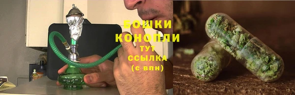 шишки Инсар