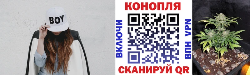 купить закладку  Алушта  kraken   Конопля THC 21% 