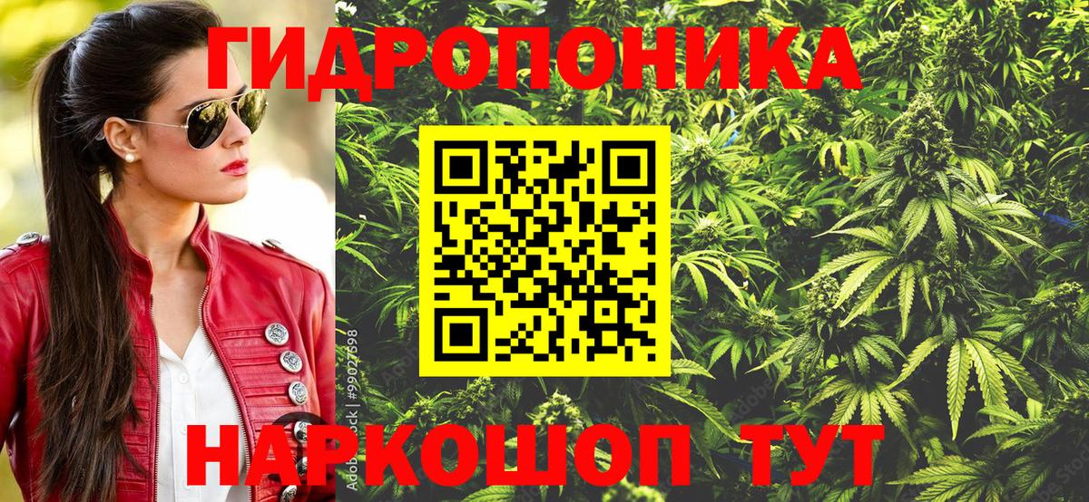 Конопля MAZAR  Конопля OG Kush  Алушта  Вход с VPN 